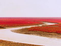 -红海滩国家风景廊道