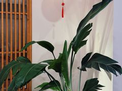 -庐州太太(南七里店)