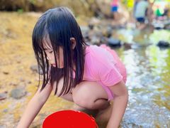 -田心森林公园