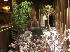 -蟹将军·松叶蟹和牛日料放题自助(K11店)