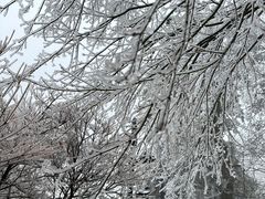 -庐山风景区花径公园