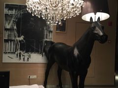 -苏浙总会(国金中心店)