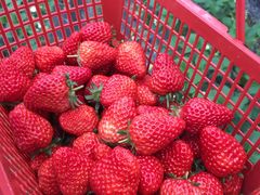 -太湖湾开元名庭大酒店