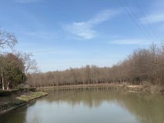 -上海海湾国家森林公园