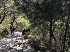 -阳台山自然风景区