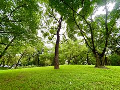 -晓港公园