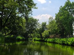 -西溪国家湿地公园