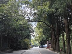 -大围山国家森林公园