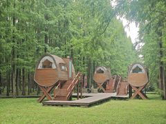 -黄海国家森林公园