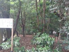 -热田神宫