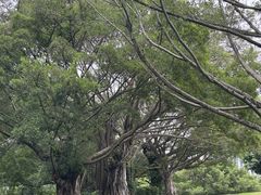 -南宁南湖公园