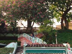 -龙环葡韵住宅式博物馆