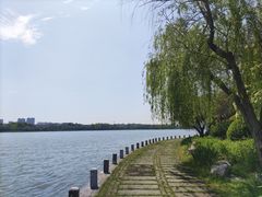 -无锡蠡湖国家湿地公园-蠡园