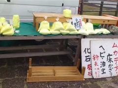 -阿苏山