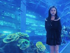 -成都浩海立方海洋公园