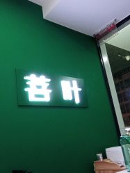 -菩叶脱发白发中心
