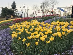 -都江堰玫瑰花溪谷
