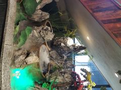 -李久其家民间餐厅(观沙岭公园店)