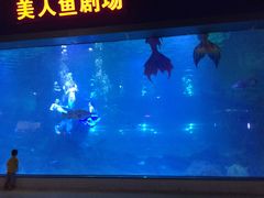 -福州罗源湾海洋世界旅游区