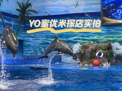 -多彩贵州城极地海洋世界