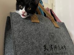 -悦宠动物医院(京丰分院)