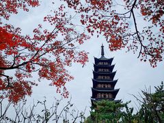 -上海方塔园