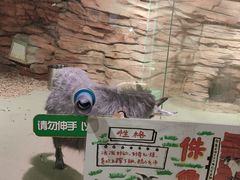 -正佳雨林生态植物园