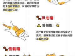 -lincat·猫舍(广州店)