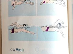 -陕西省游泳跳水馆