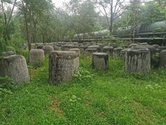 -绿堤公园