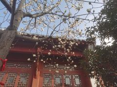 -长春观