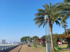 -野狸岛