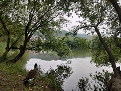 -长兴太湖图影湿地文化园