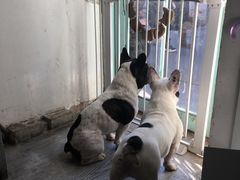 门面-小时光咖啡馆(北锣鼓巷店)