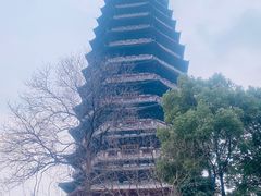 -红梅公园