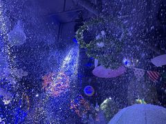 -胡桃里音乐酒馆(下沙店)