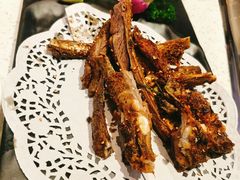 -九府羊·鲜羊火锅·烤串(新华路店)