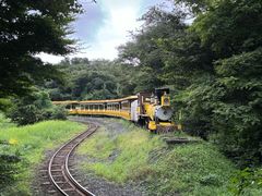-济州森林小火车生态公园
