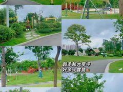 -白石龙音乐公园