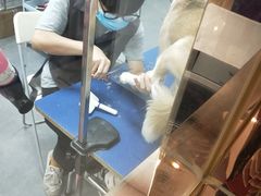 -瑞鹏宠物医院·骨科·猫科·内科(第一中心)