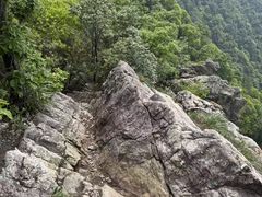 -午潮山国家森林公园