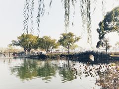 -无锡蠡湖国家湿地公园-蠡园
