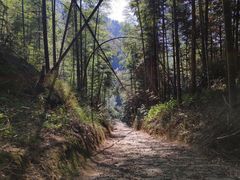 -仙霞关景区