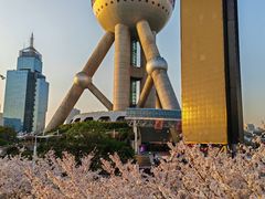 -东方明珠广播电视塔