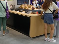 -Sony Store 索尼(上海淮海中路店)