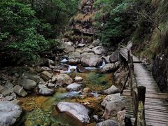-祁门牯牛降观音堂风景区