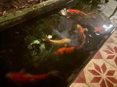 -迪瓦娜按摩和水疗中心