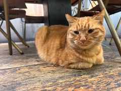 -肥仔文澳门猪骨煲(南京西路店)