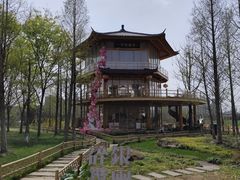 -长田漾湿地公园