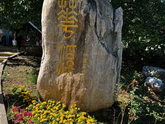 -北京西山国家森林公园